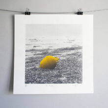 ELY_LA BOUEE_IMG SHOP 00