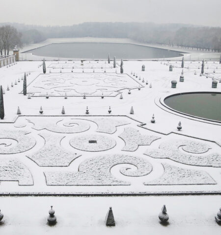 ELY Photo Versailles Sous la neige / Couple de Cygnes